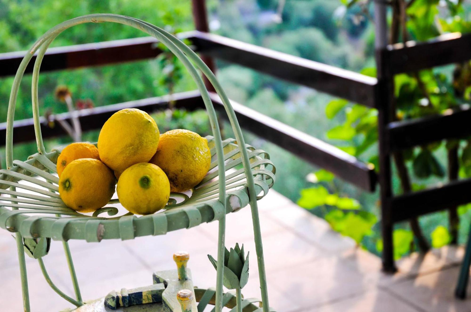 Bellavista Peljesac Peninsula Bed & Breakfast Dubrava  Стая снимка