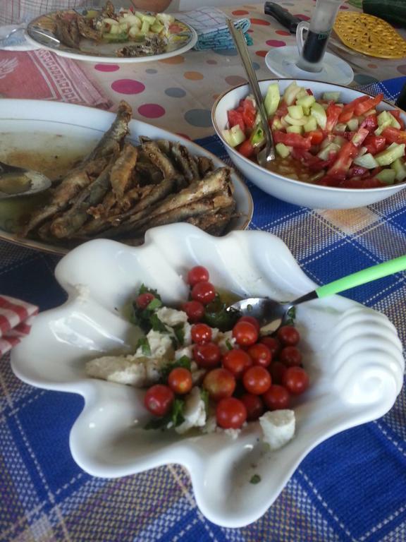 Bellavista Peljesac Peninsula Bed & Breakfast Dubrava  Екстериор снимка